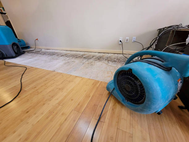 Professional Water Damage Repair technician working in Sacramento, PA